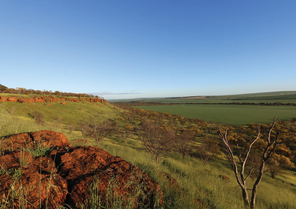 Mingenew green sloping hill and fields
